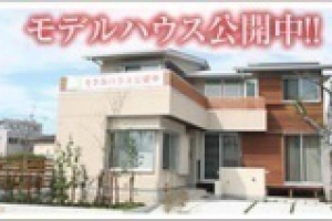 イメージなし