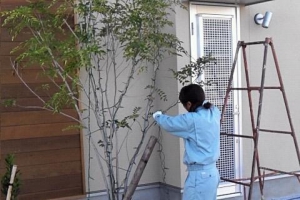 イメージなし