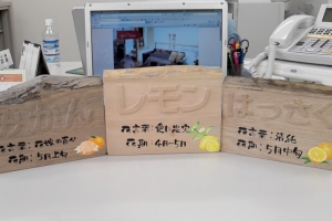 イメージなし