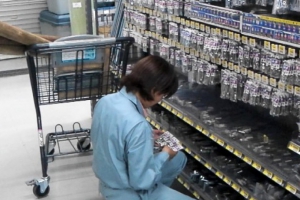 イメージなし