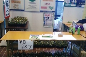 イメージなし