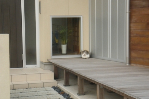 イメージなし