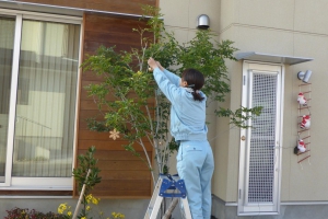 イメージなし