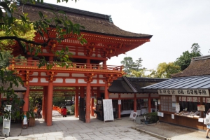 イメージなし