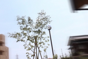 イメージなし