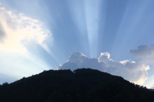 イメージなし